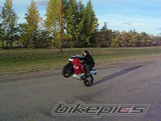 1996 YAMAHA YZF 1000 | Picture 85245 motorcycle photo
