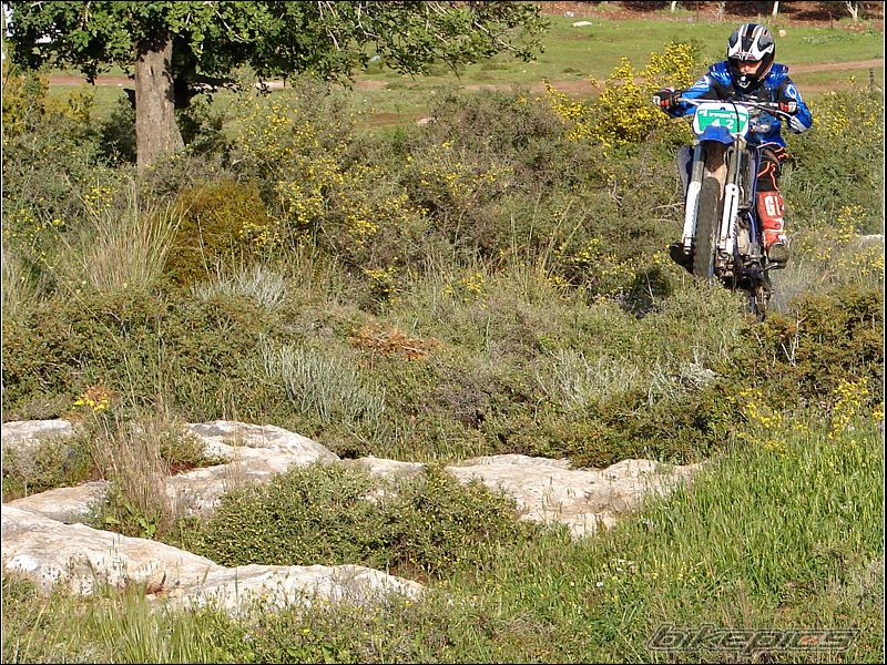 1998 YAMAHA YZ 125 | Picture 852528 motorcycle photo