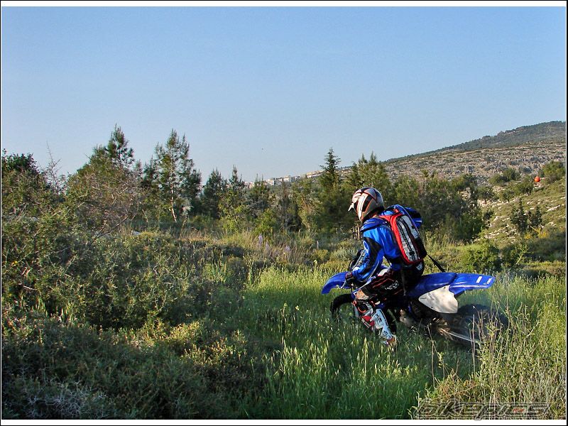 1998 YAMAHA YZ 125 | Picture 852531 motorcycle photo