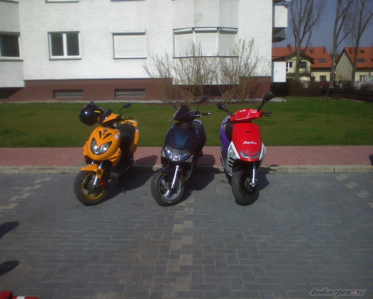 1992 APRILIA SR 50 | Picture 852540 motorcycle photo