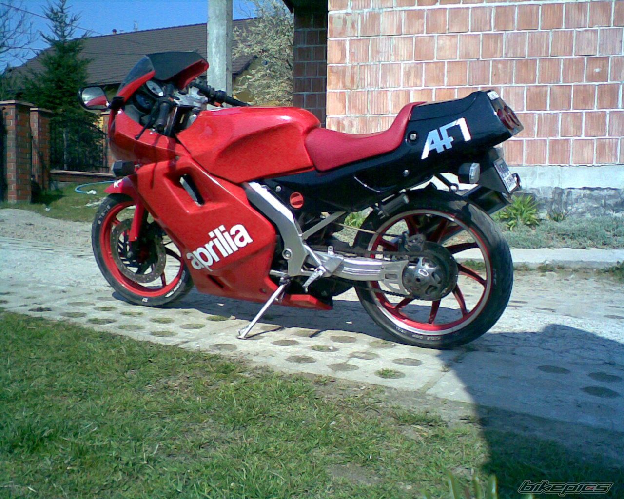 1989 APRILIA AF1 FUTURA 50 | Picture 853209 motorcycle photo