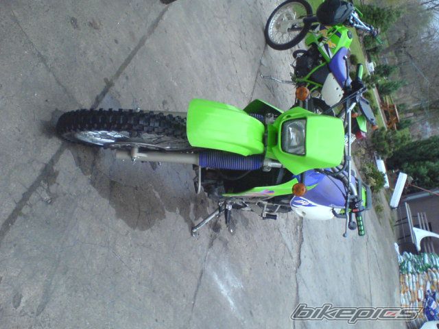 1999 KAWASAKI KLR 650 | Picture 853261 motorcycle photo