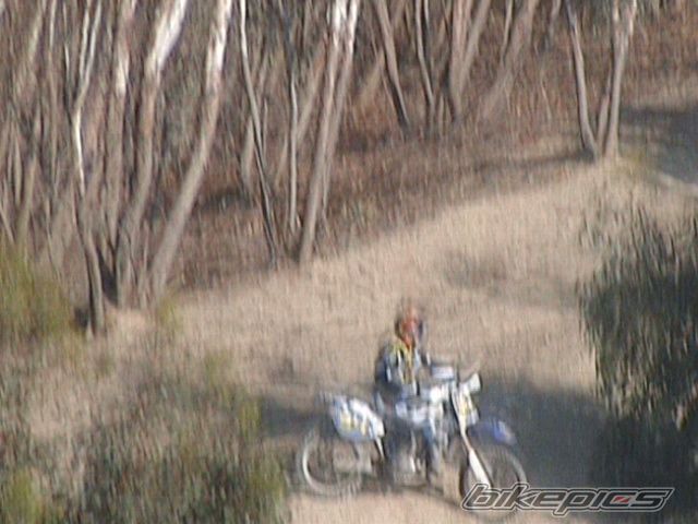 1994 YAMAHA YZ 250 | Picture 853311 motorcycle photo