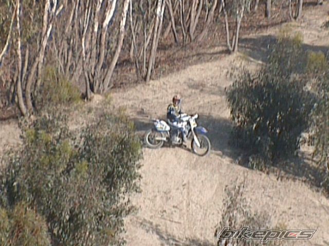 1994 YAMAHA YZ 250 | Picture 853312 motorcycle photo