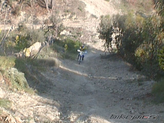 1994 YAMAHA YZ 250 | Picture 853313 motorcycle photo