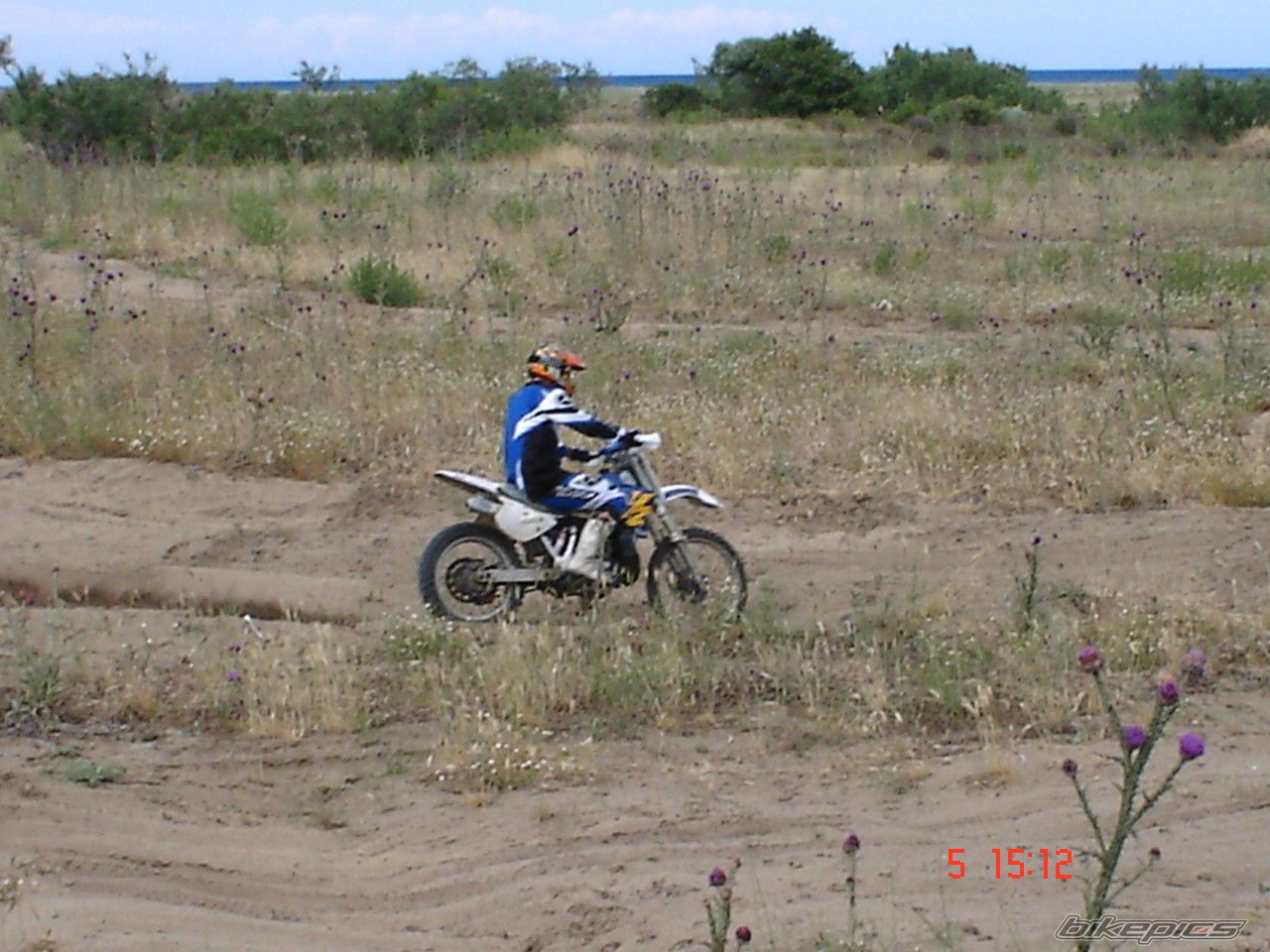 1994 YAMAHA YZ 250 | Picture 853336 motorcycle photo