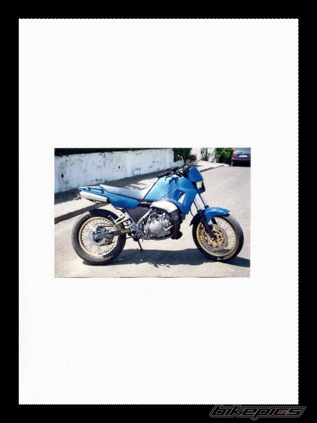 1989 YAMAHA TDR 250 | Picture 853389 motorcycle photo