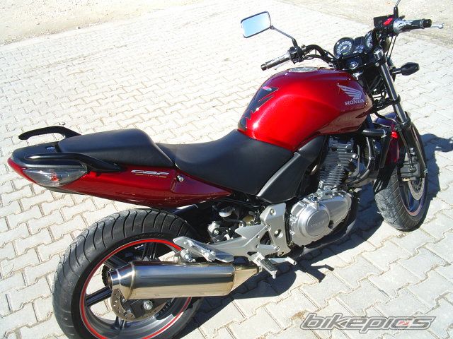 2007 HONDA CBF 500 | Picture 853627 motorcycle photo