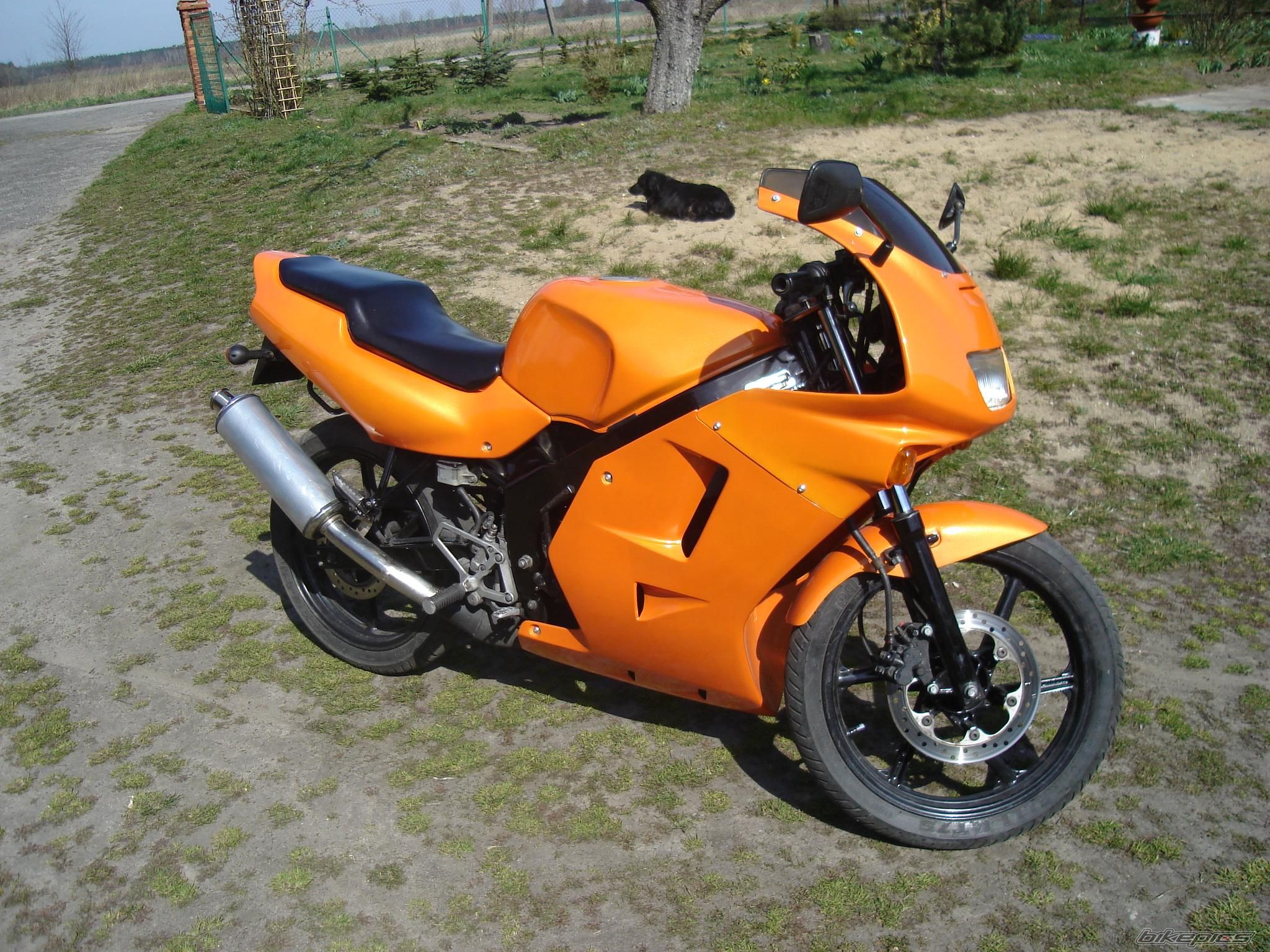 1995 HONDA NS1 80 | Picture 853801 motorcycle photo