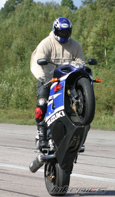 2003 SUZUKI GSX R 1000 | Picture 85447 motorcycle photo