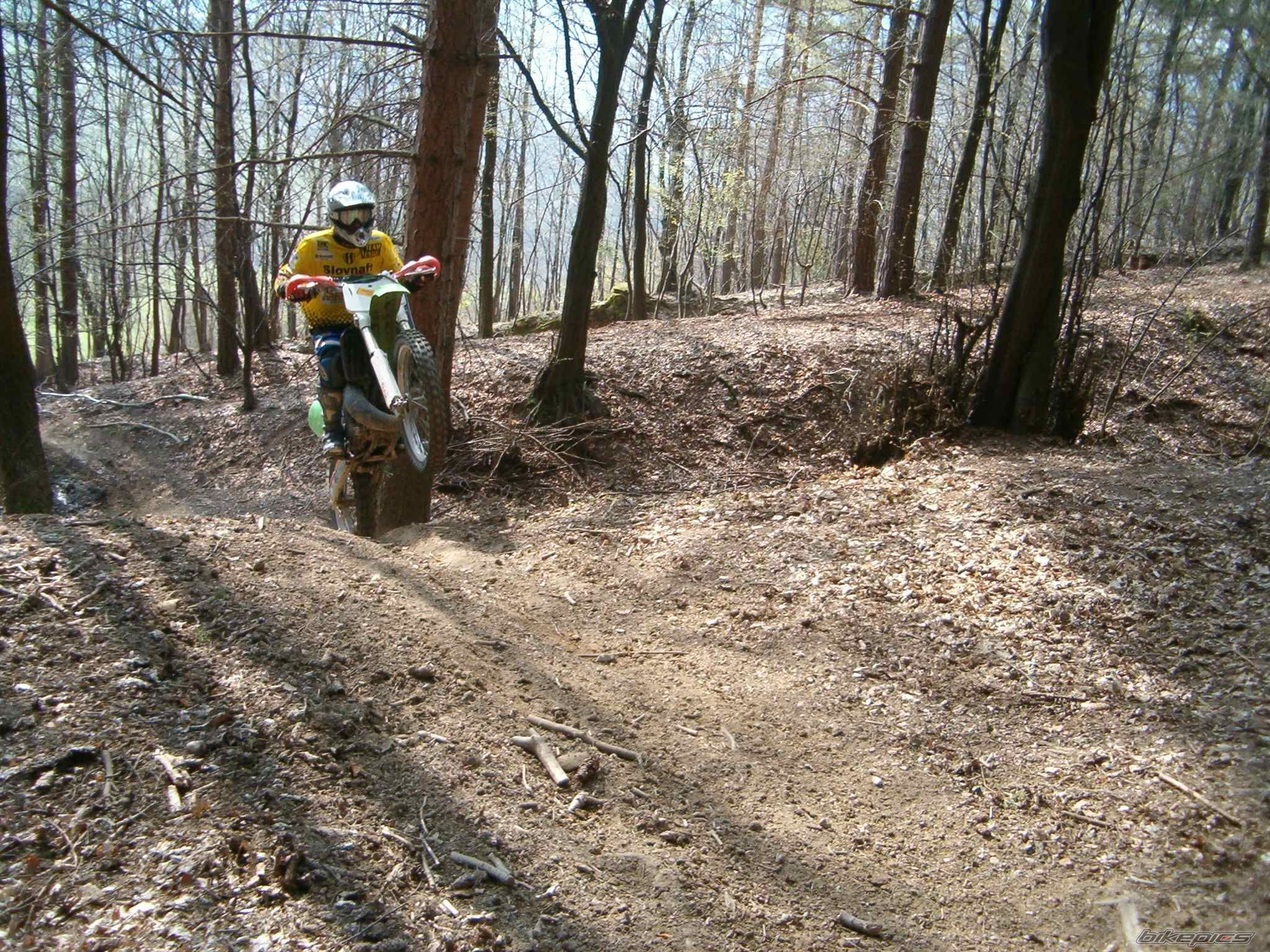 1997 KAWASAKI KX 250 | Picture 854889 motorcycle photo