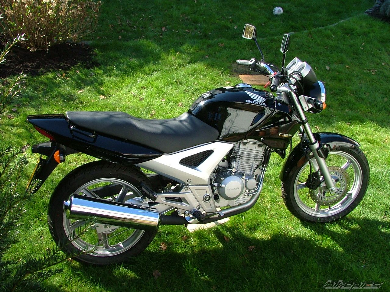 2006 HONDA CBF 250 | Picture 854973 motorcycle photo