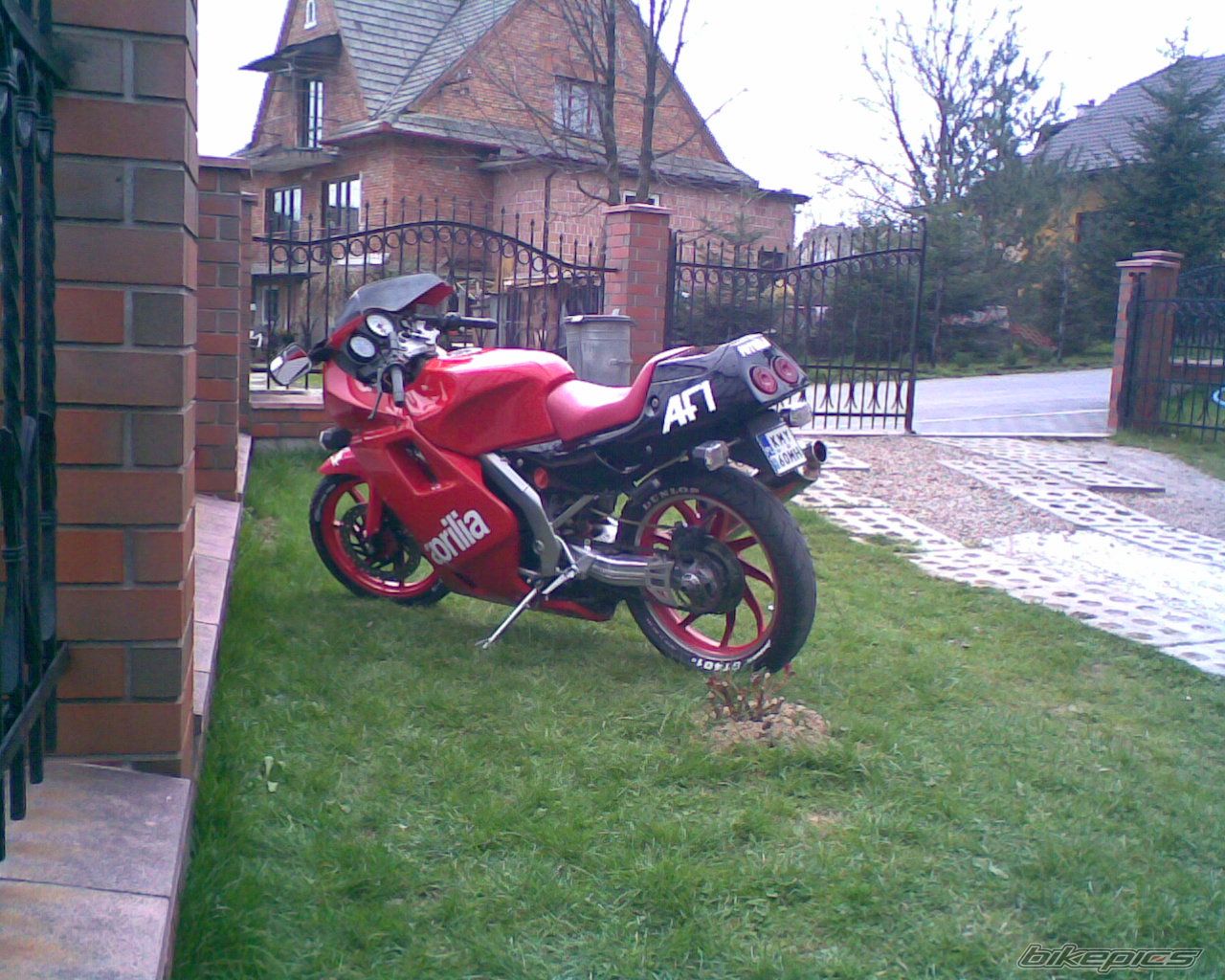 1989 APRILIA AF1 FUTURA 50 | Picture 855254 motorcycle photo