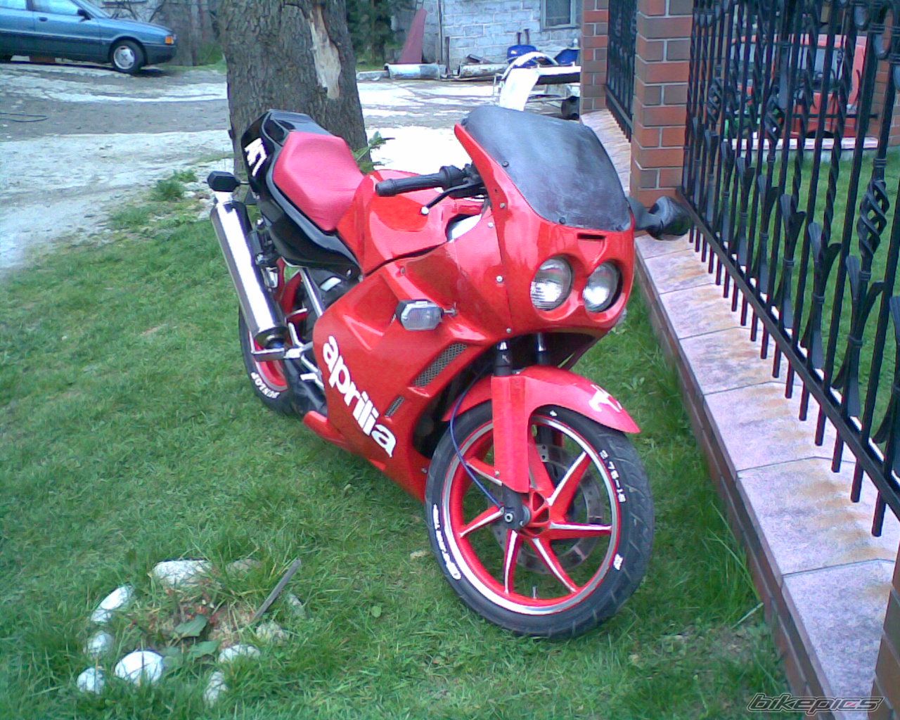 1989 APRILIA AF1 FUTURA 50 | Picture 855258 motorcycle photo