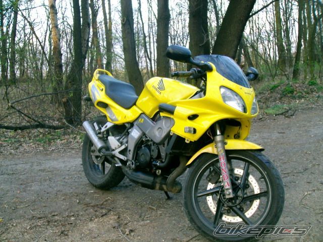 1996 HONDA NSR 125 | Picture 855511 motorcycle photo