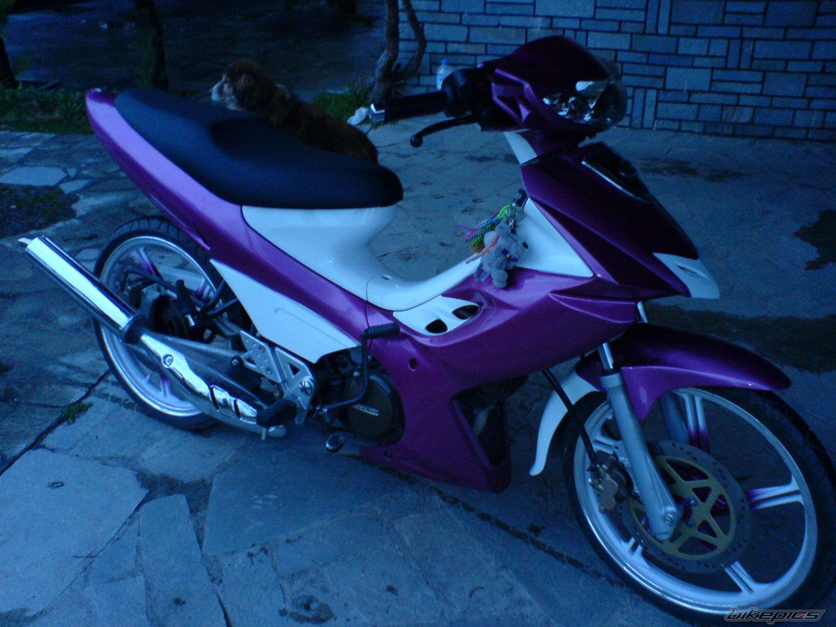 2007 MODENAS DYNAMIC 125 | Picture 855726 motorcycle photo