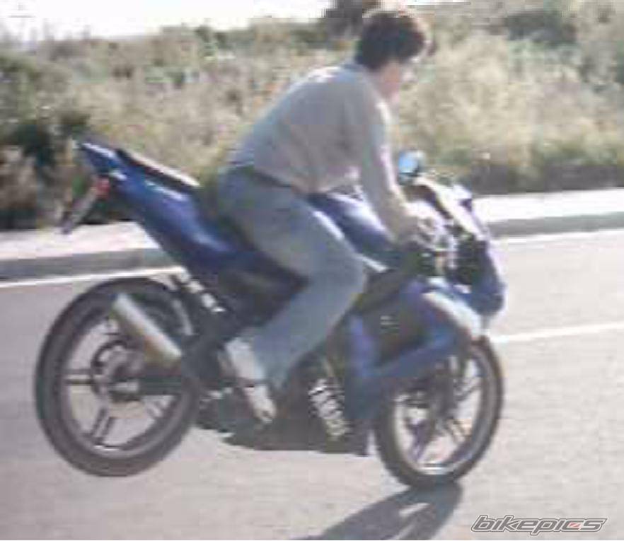 2003 YAMAHA TZR 50 | Picture 85575 motorcycle photo