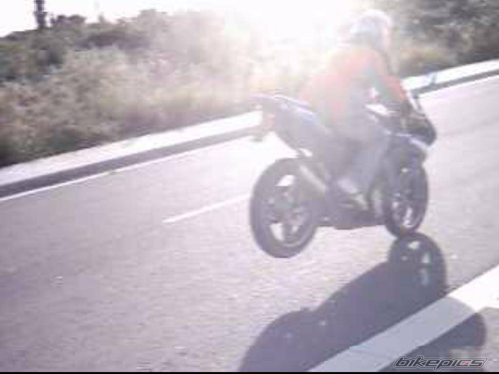 2003 YAMAHA TZR 50 | Picture 85578 motorcycle photo