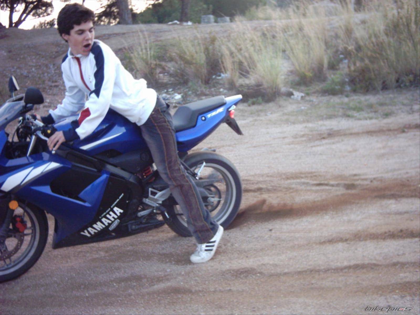 2003 YAMAHA TZR 50 | Picture 85580 motorcycle photo