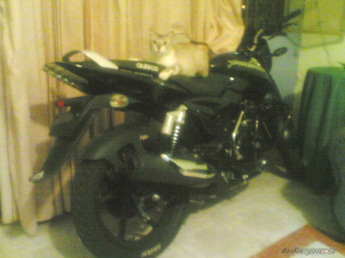 2007 BAJAJ PULSAR 180 | Picture 855888 motorcycle photo