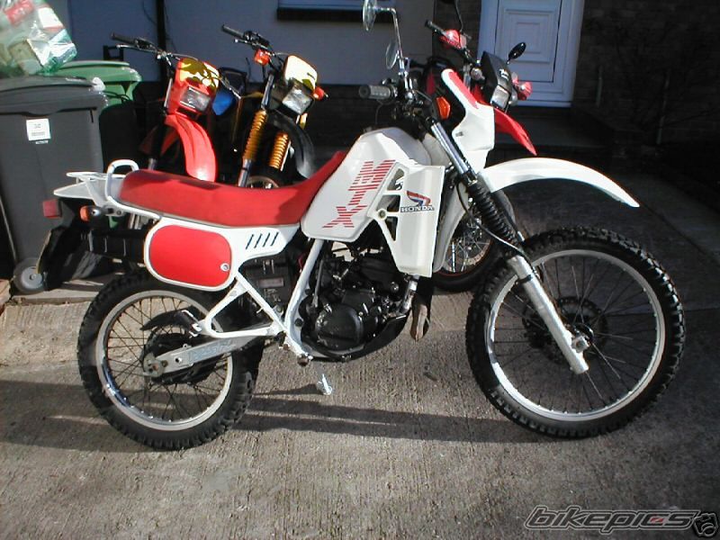 1988 HONDA MTX 125 | Picture 857189 motorcycle photo