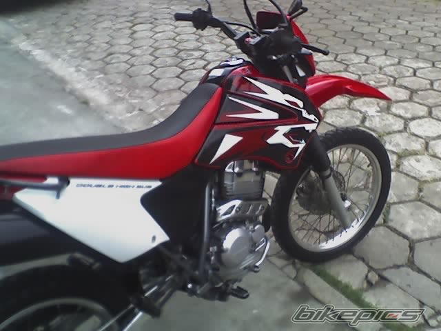2002 HONDA XR 250 | Picture 857784 motorcycle photo