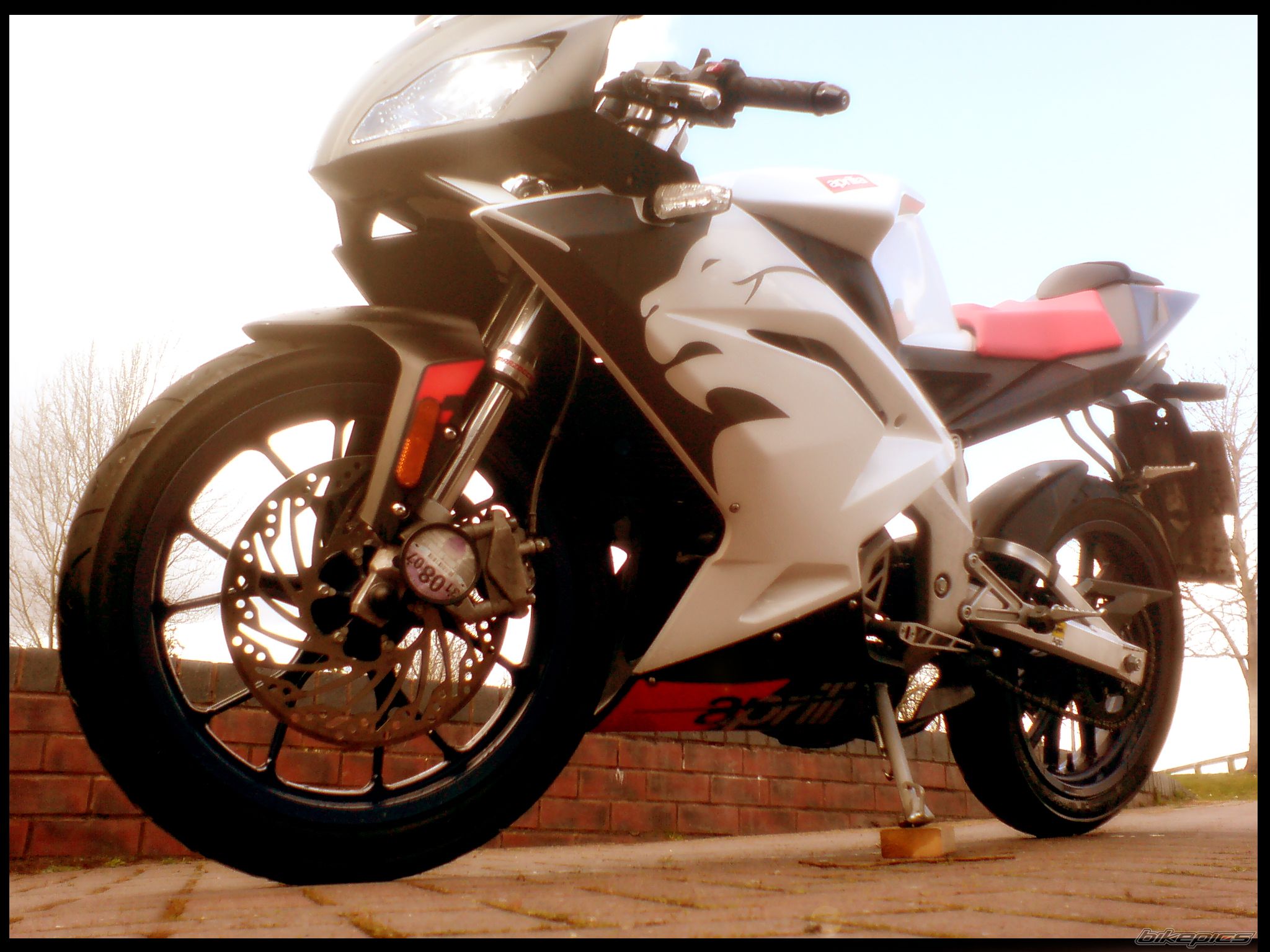 2007 APRILIA RS 50 | Picture 858007 motorcycle photo