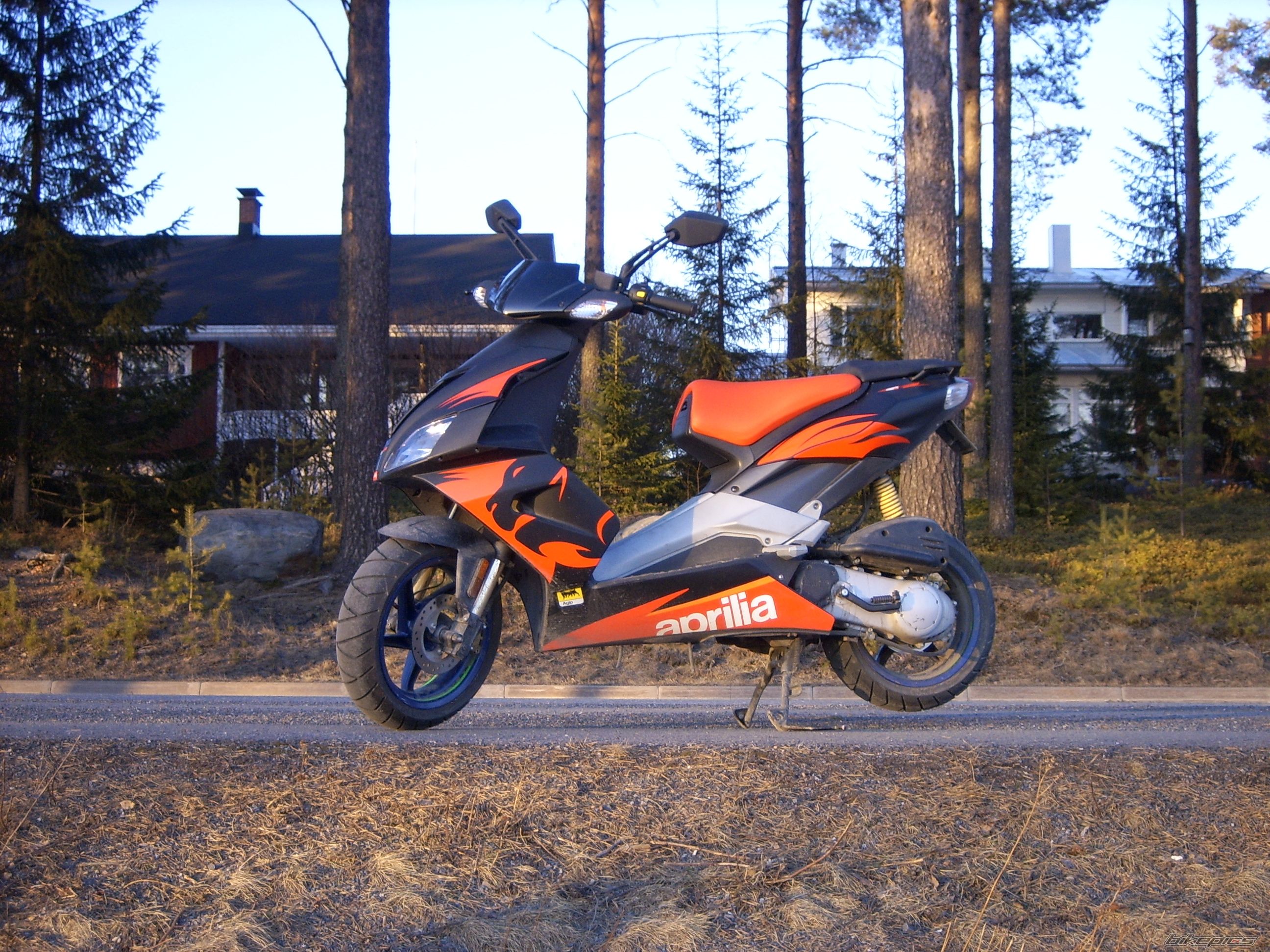 2006 APRILIA SR 50 | Picture 858194 motorcycle photo