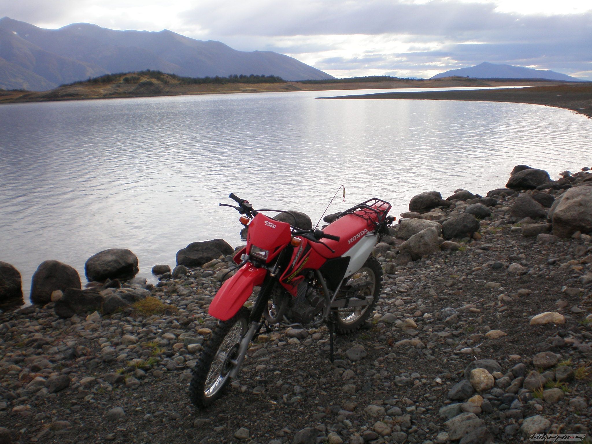 2006 HONDA XR 250 | Picture 858702 motorcycle photo