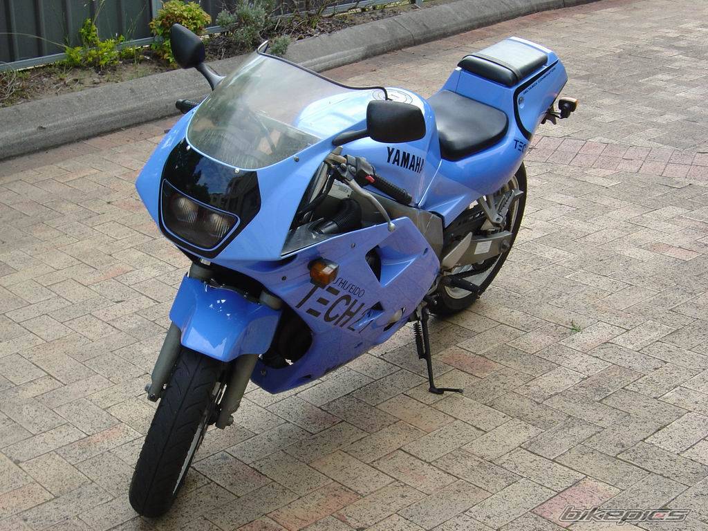 1992 YAMAHA FZR 250 | Picture 85897 motorcycle photo