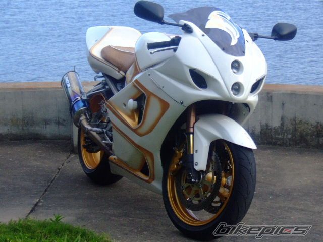 2002 SUZUKI GSX R 1000 | Picture 859270 motorcycle photo