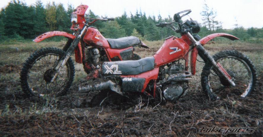 1982 HONDA XL 250 | Picture 85929 motorcycle photo