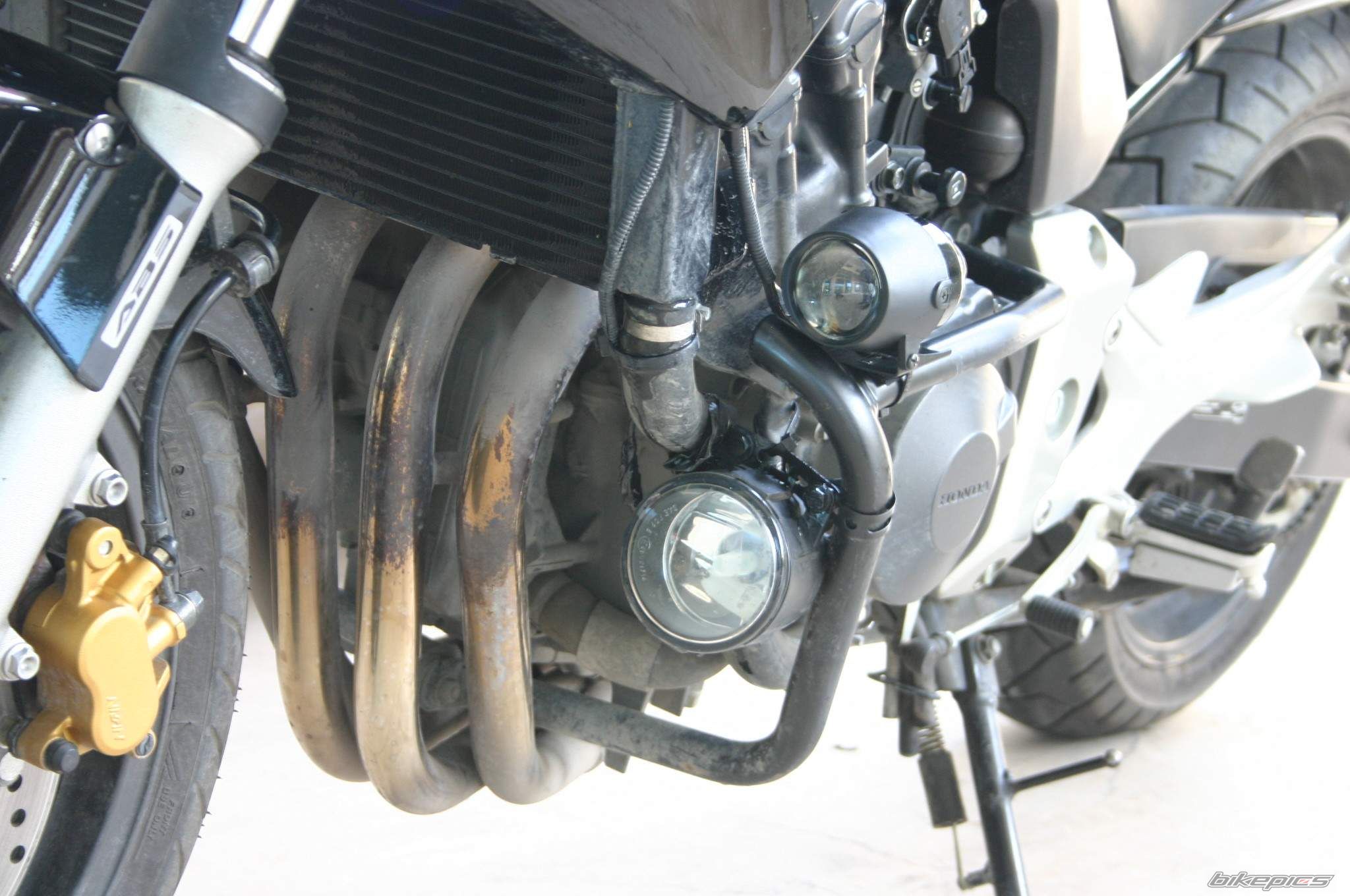 2006 HONDA CBF 600 | Picture 859721 motorcycle photo