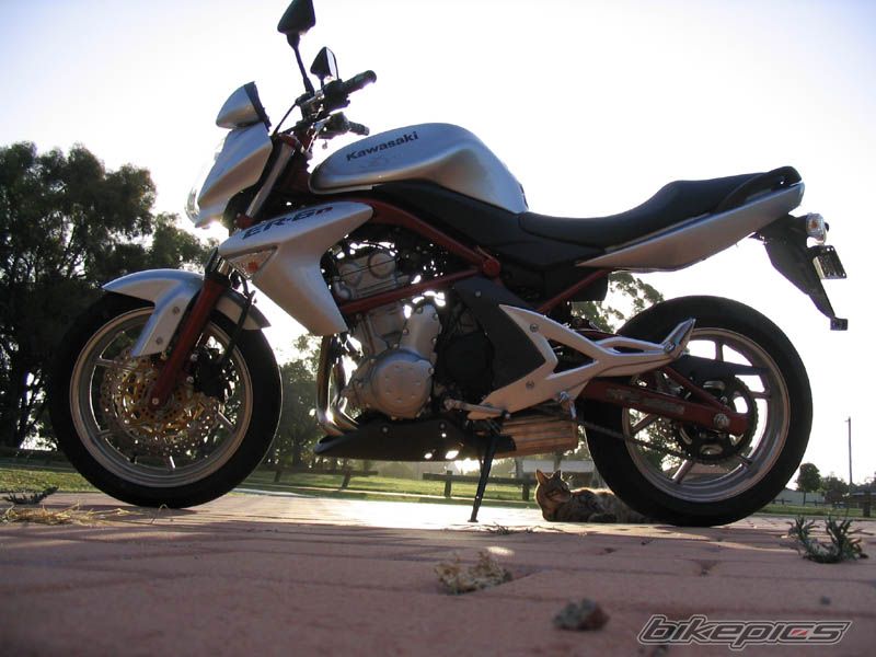 2006 KAWASAKI ER 6N | Picture 859823 motorcycle photo