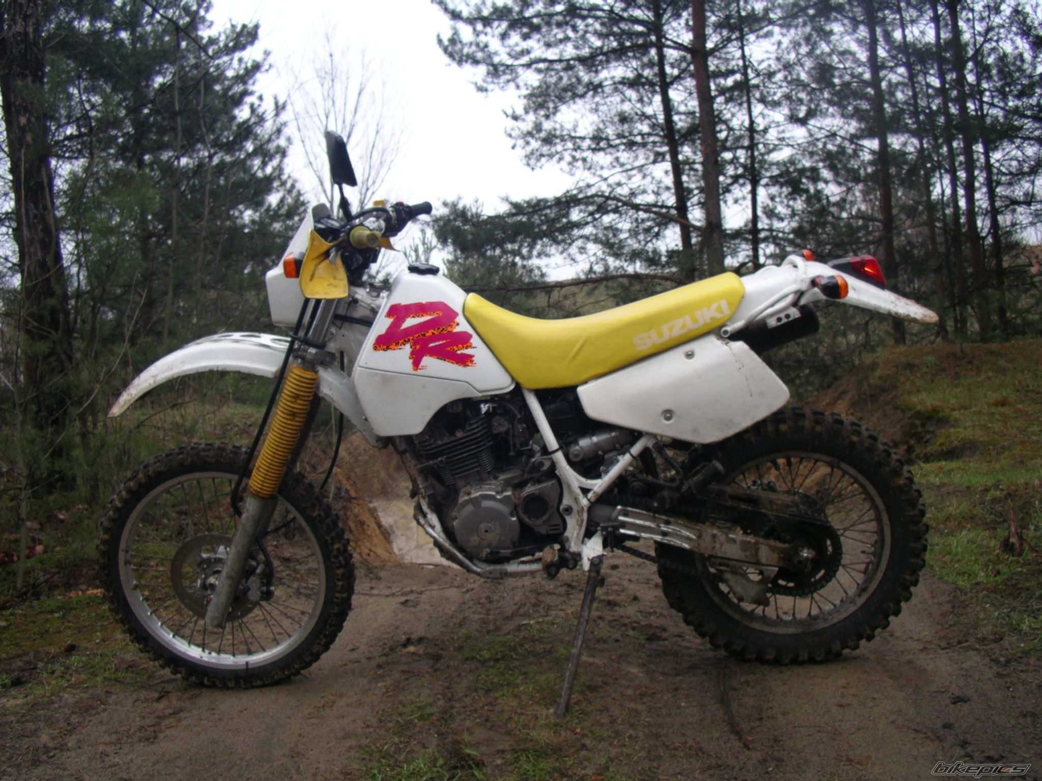1993 SUZUKI DR 350 | Picture 859948 motorcycle photo