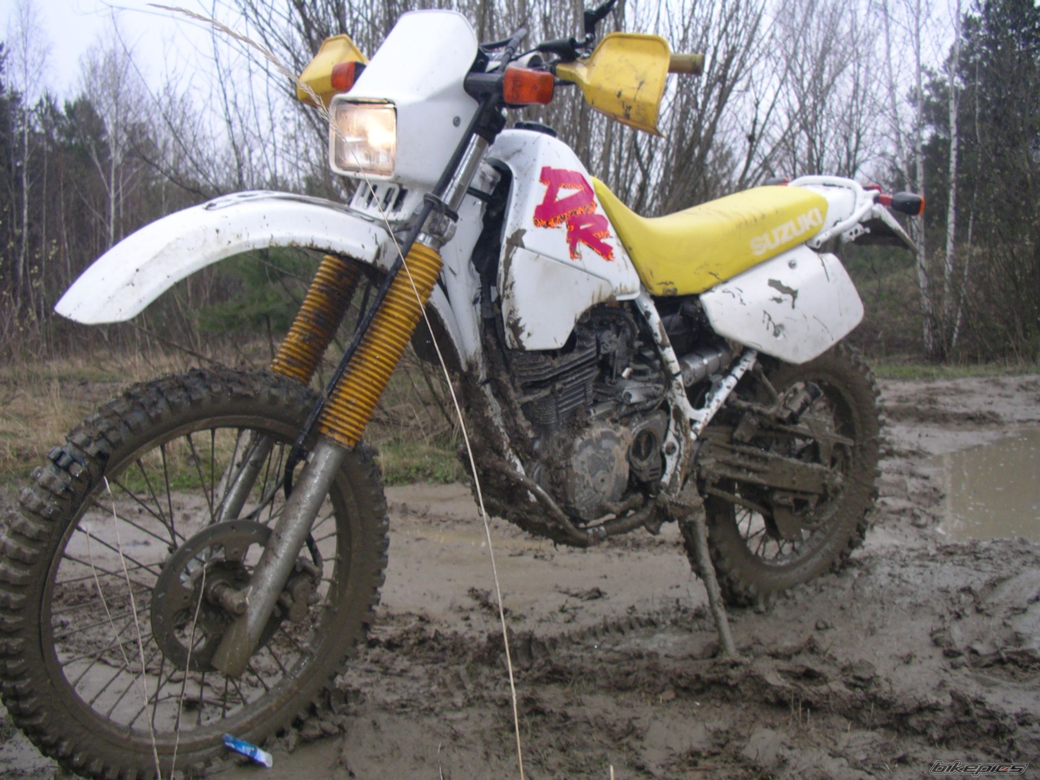 1993 SUZUKI DR 350 | Picture 859955 motorcycle photo