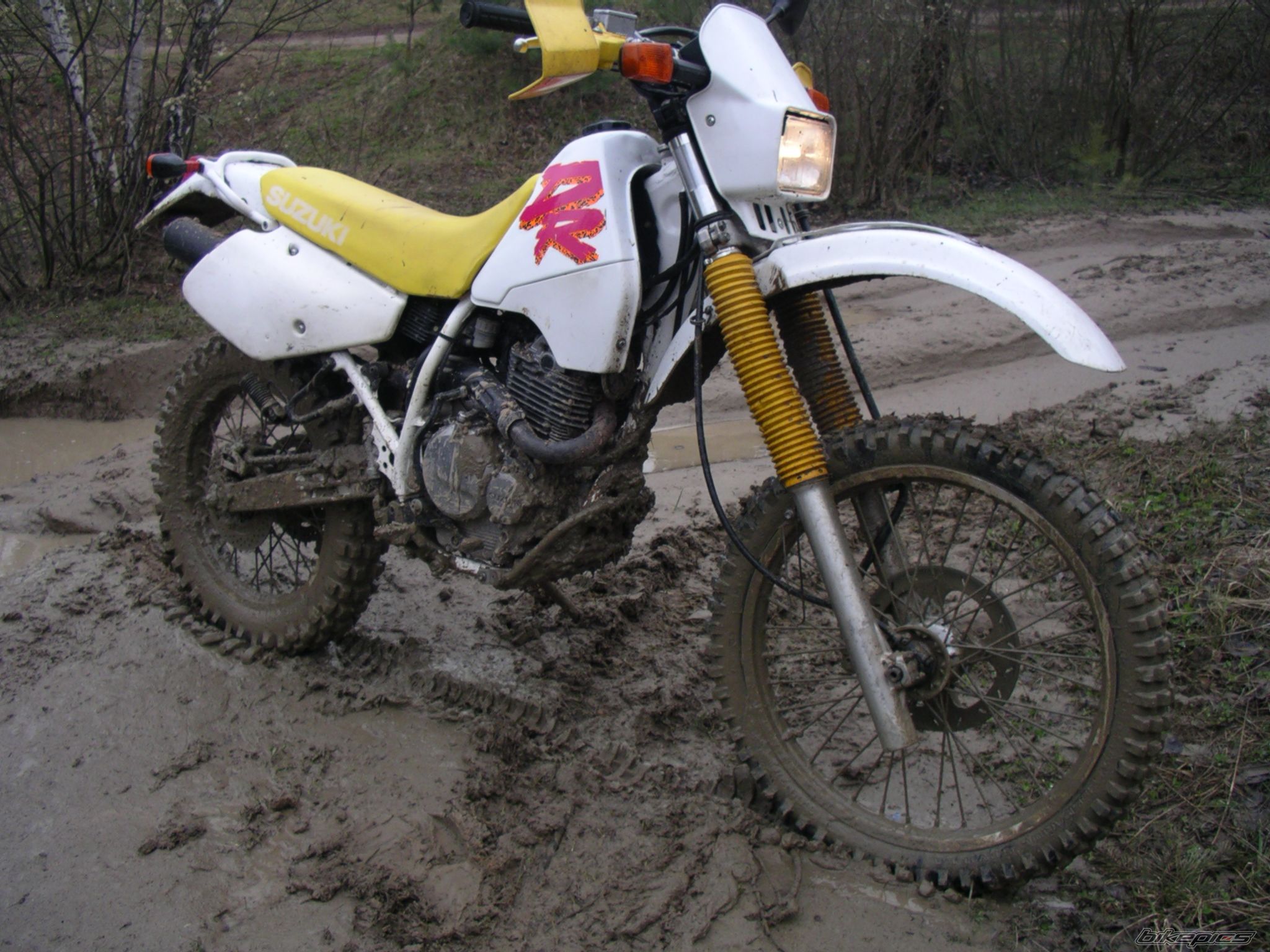 1993 SUZUKI DR 350 | Picture 859959 motorcycle photo