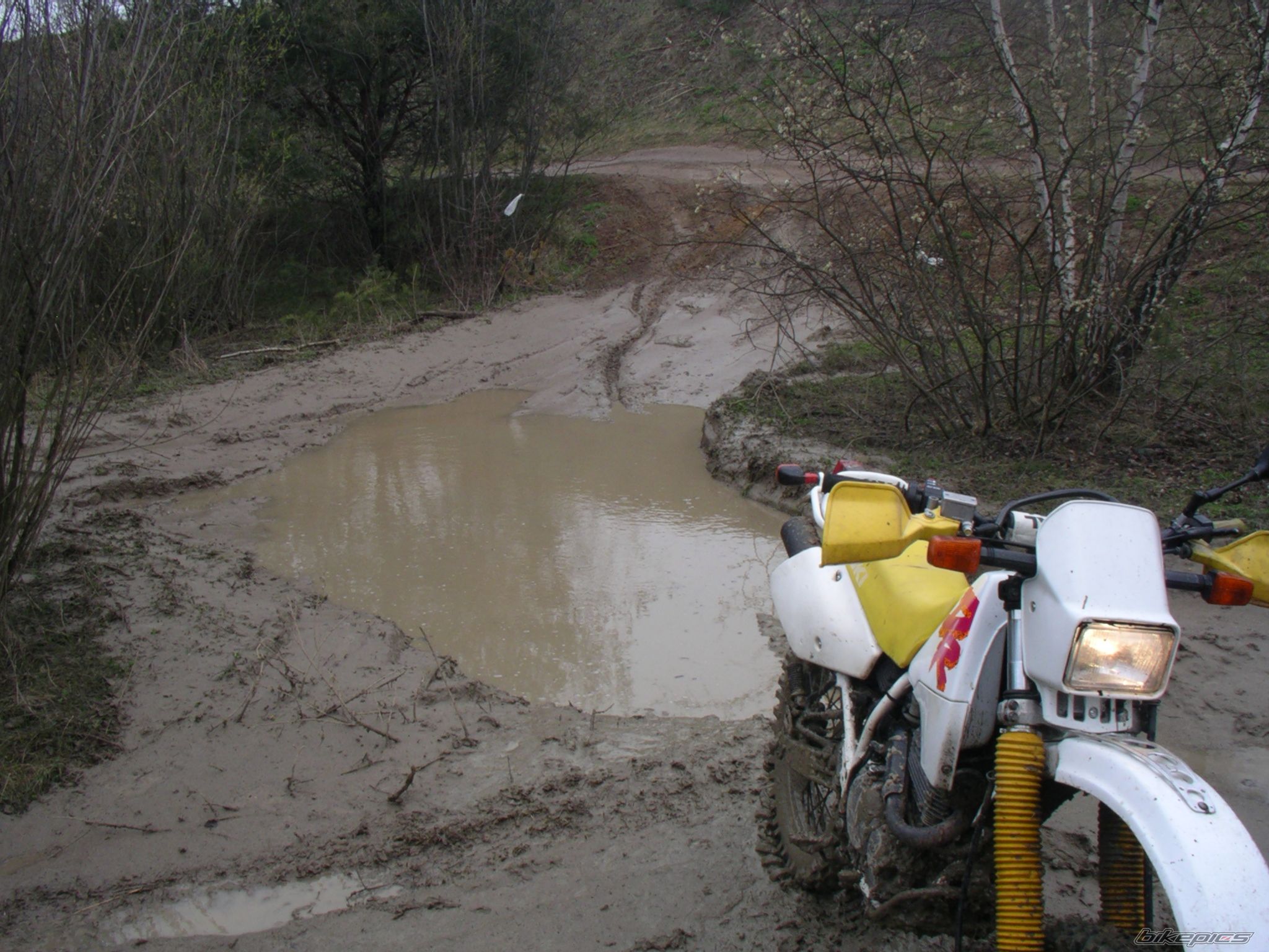 1993 SUZUKI DR 350 | Picture 859967 motorcycle photo