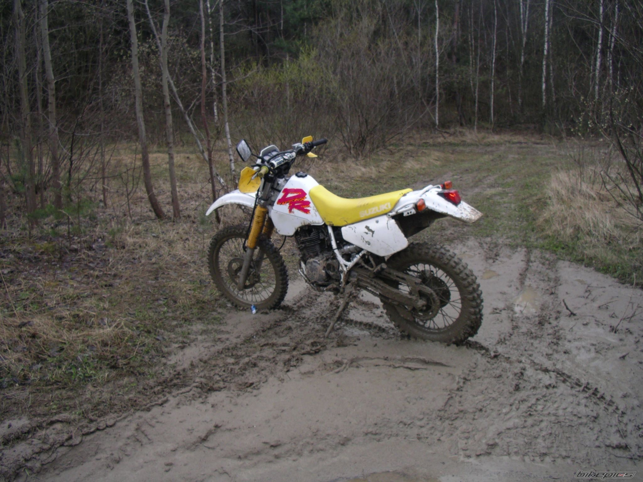 1993 SUZUKI DR 350 | Picture 859970 motorcycle photo