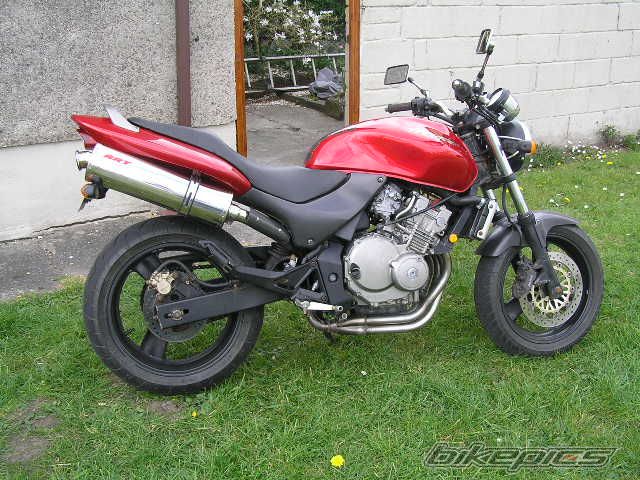 1998 HONDA CB 250 HORNET | Picture 859979 motorcycle photo
