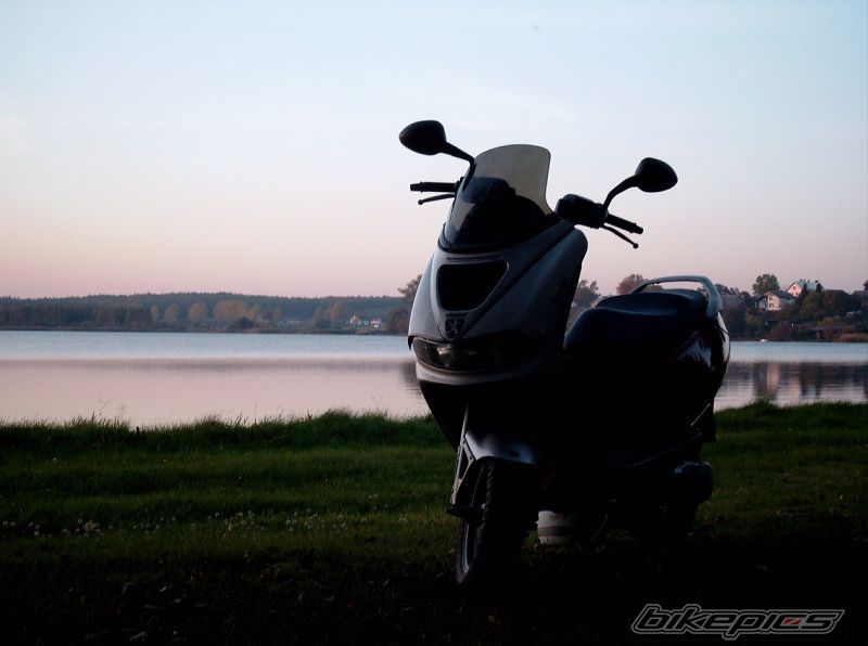 2000 PEUGEOT ELYSEO 50 | Picture 860031 motorcycle photo