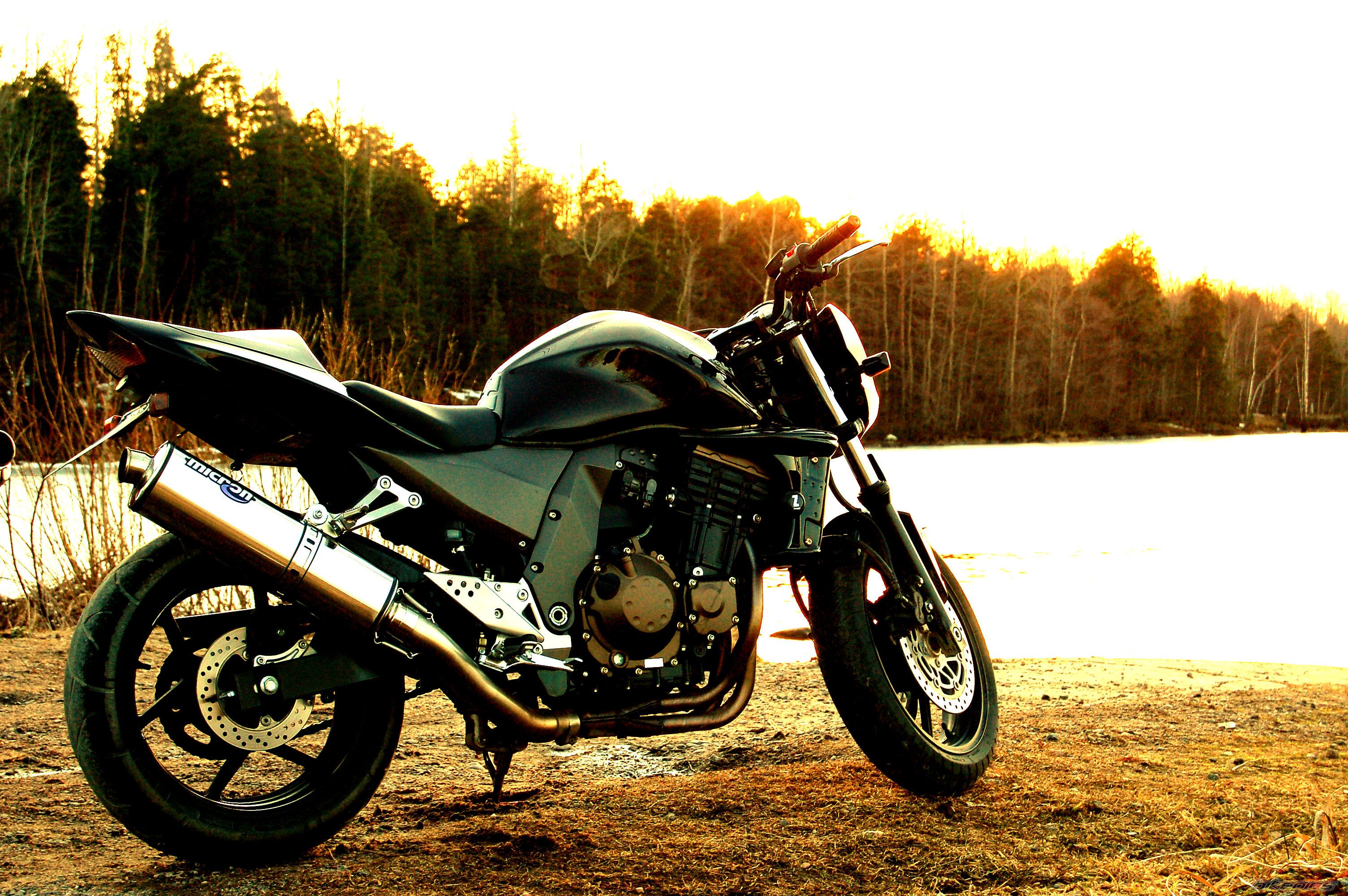 2004 KAWASAKI Z 750 | Picture 860427 motorcycle photo