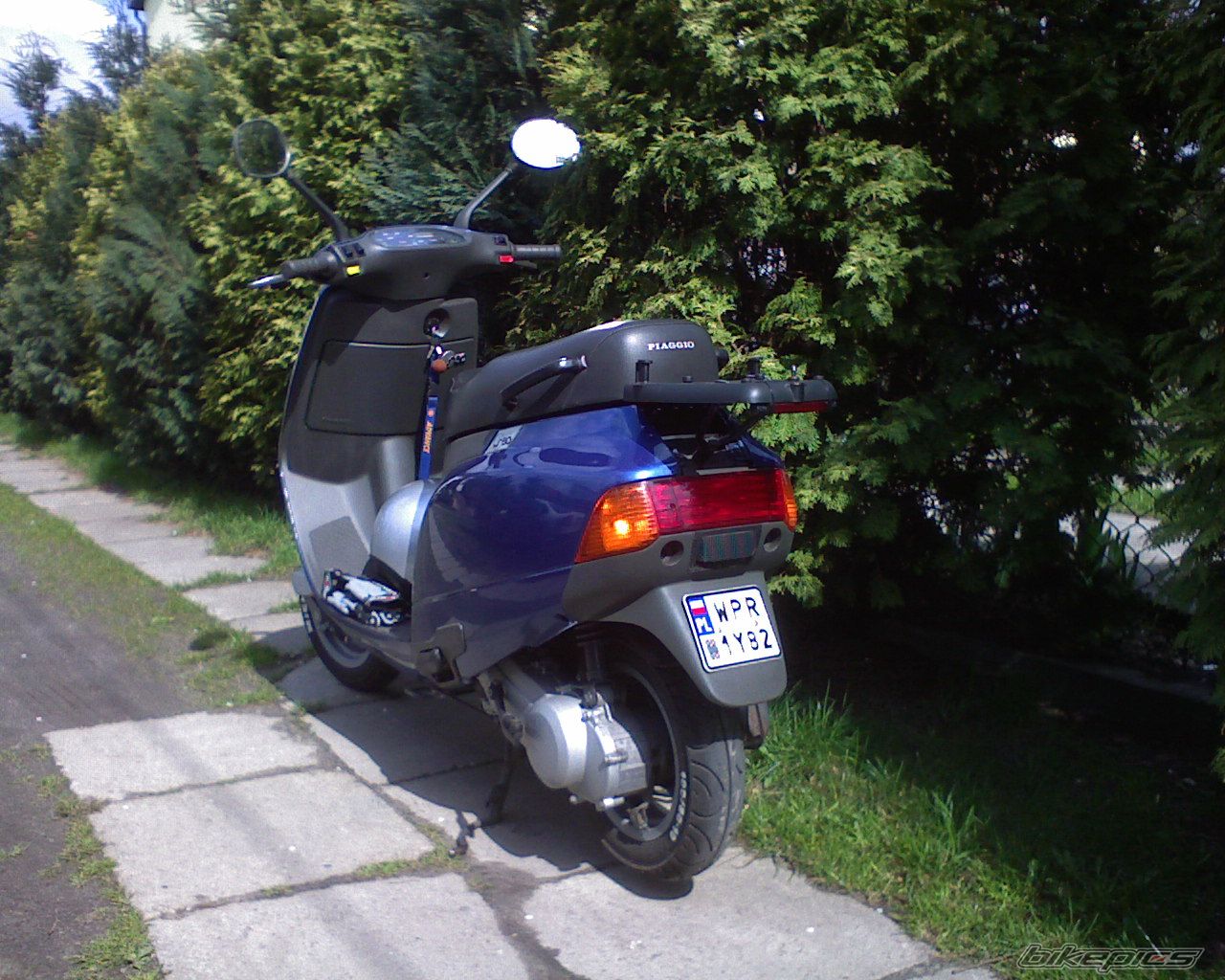 1994 PIAGGIO SFERA NSL 50 | Picture 860839 motorcycle photo