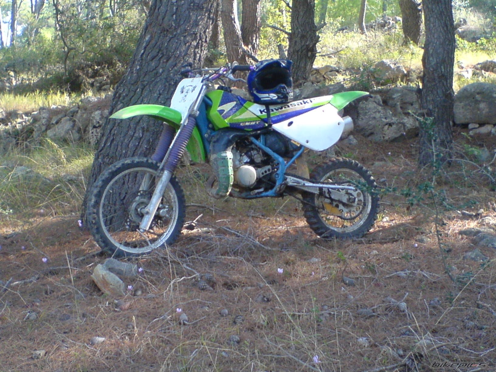2007 HONDA GLX 50 | Picture 861311 motorcycle photo
