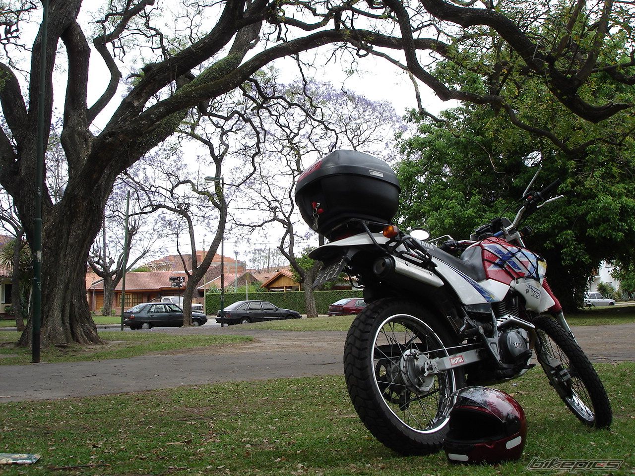 1998 YAMAHA XT 225 | Picture 861413 motorcycle photo