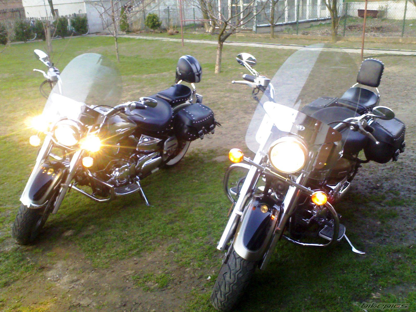 2005 YAMAHA XVS1100A DRAGSTAR CLASSIC | Picture 861546 motorcycle photo