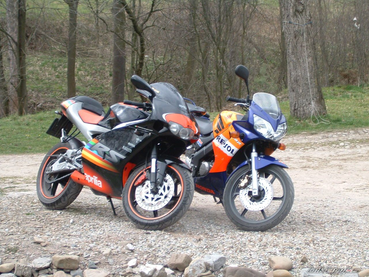 1999 APRILIA RS 125 | Picture 861774 motorcycle photo