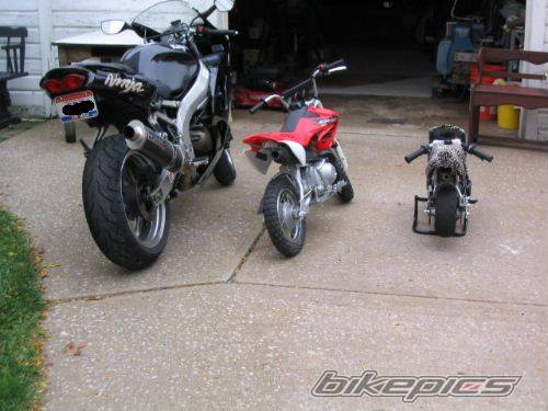 1999 KAWASAKI ZX 6R | Picture 86214 motorcycle photo
