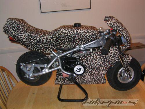 2003 BLATA MINIMOTO 2.5 | Picture 86216 motorcycle photo