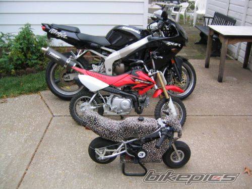 1999 KAWASAKI ZX 6R | Picture 86219 motorcycle photo
